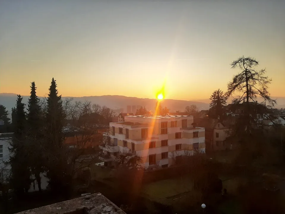 Sunny Room with view in Flatshare