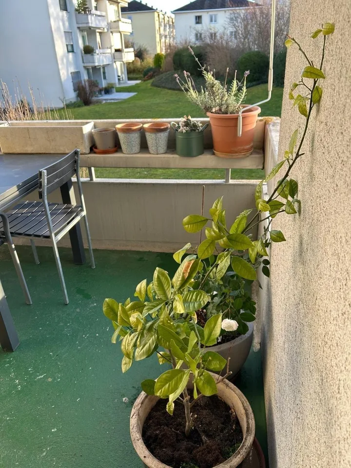 Wohnung 2.5 Zimmer mit balkon in Urdorf