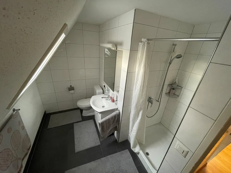 Gesucht wird ein Nachmieter für eine gepflegte 1-Zimmer-Dachwohnung