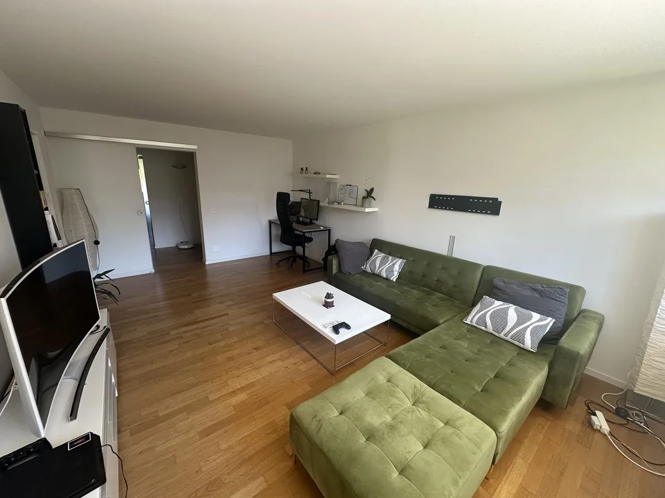 Spacious & Bright 2.5-room flat in Wiedikon