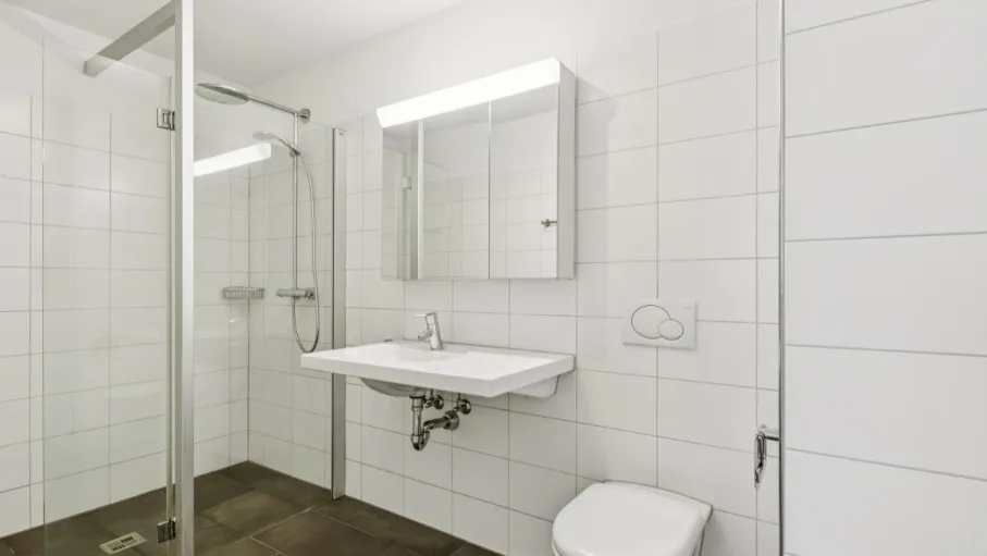 2.5-Zimmer-Wohnung in Dietikon (befristet auf 2 Jahre)