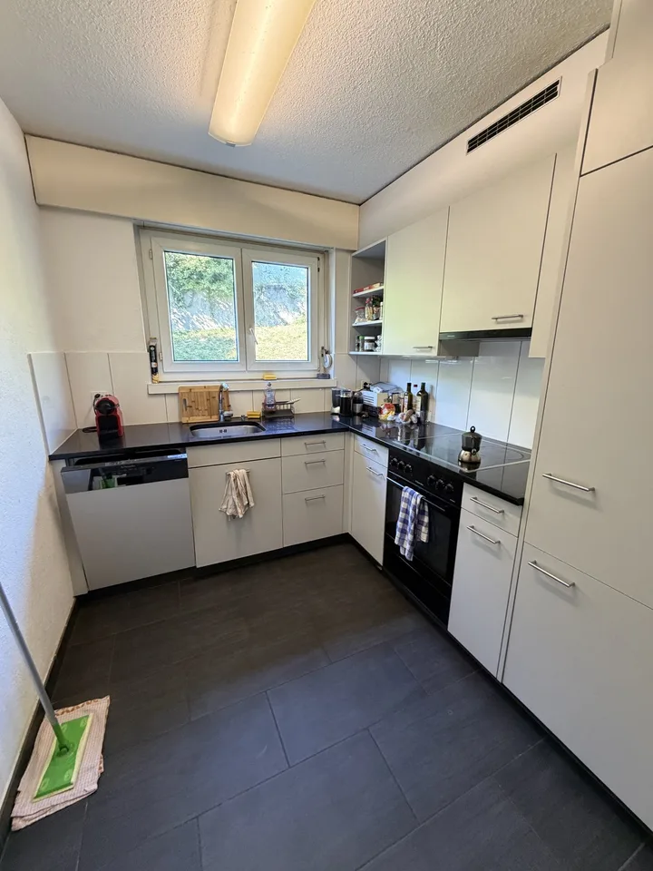 3 Rooms in Höngg ZH