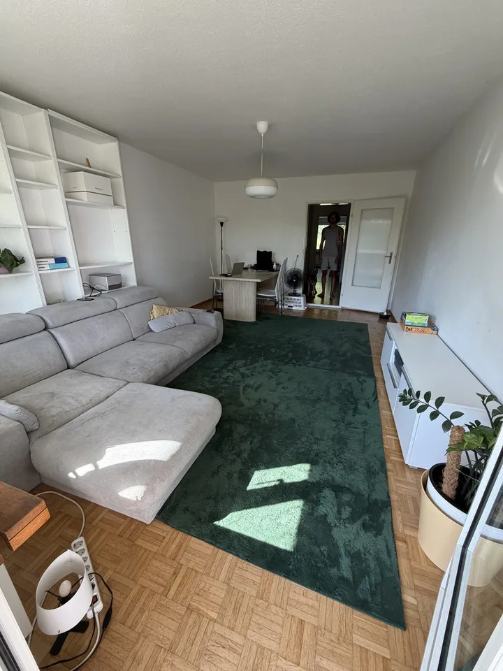 3 Rooms in Höngg ZH