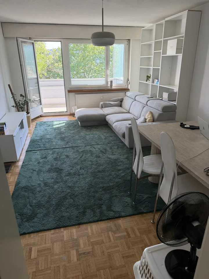 3 Rooms in Höngg ZH