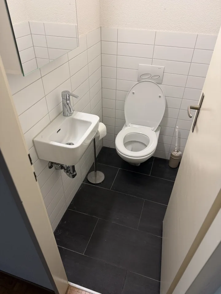 3 Rooms in Höngg ZH
