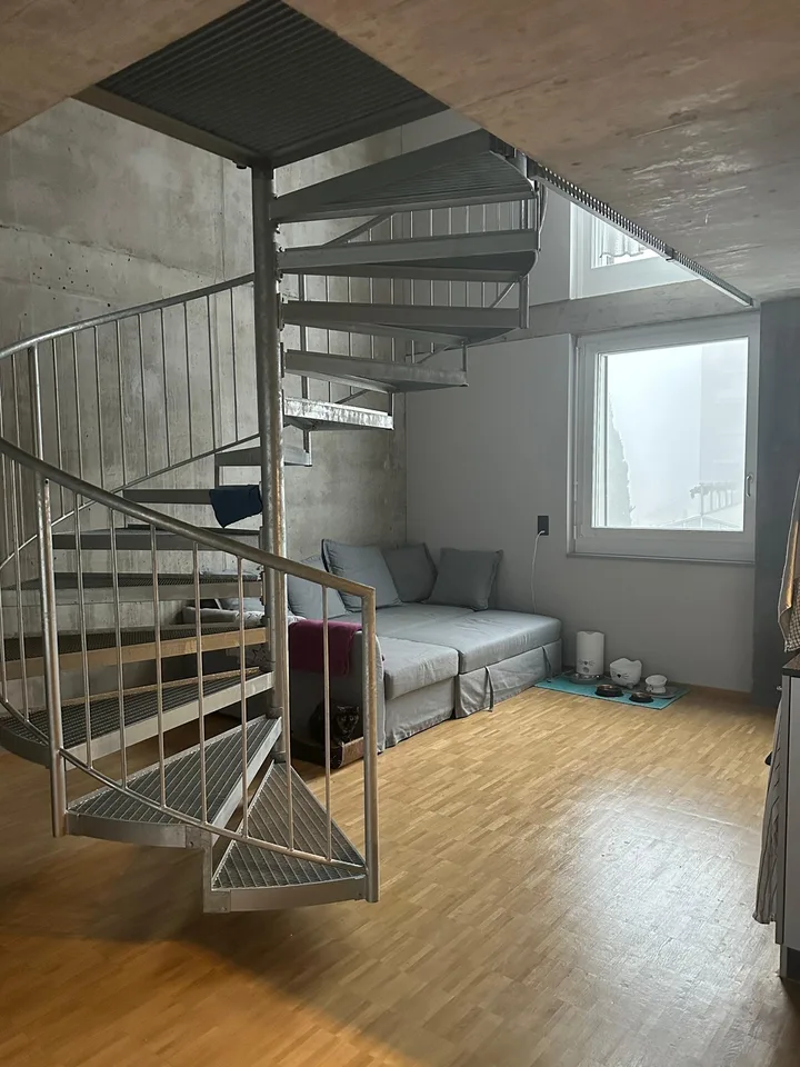 Cozy Duplex Apartment for Rent in Regensdorf