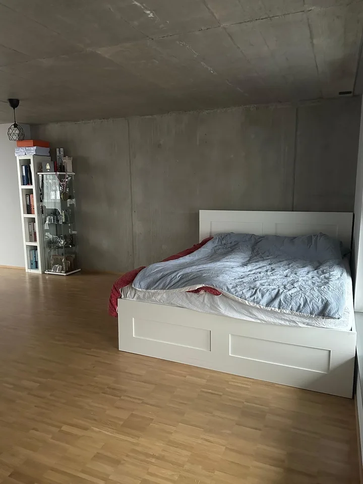 Cozy Duplex Apartment for Rent in Regensdorf