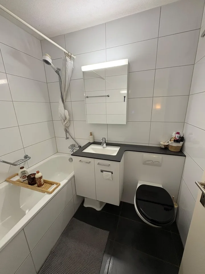Helle 2.5 Zimmer Wohnung im Zentrum von Regensdorf