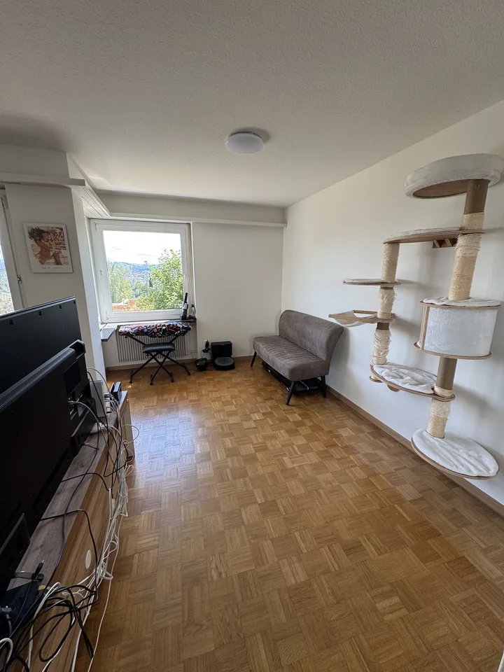 Helle Wohnung mit Aussicht über das Limmattal