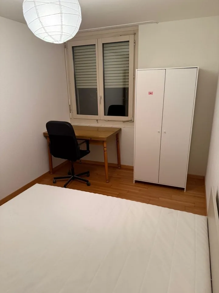 Furnished Room in Zurich