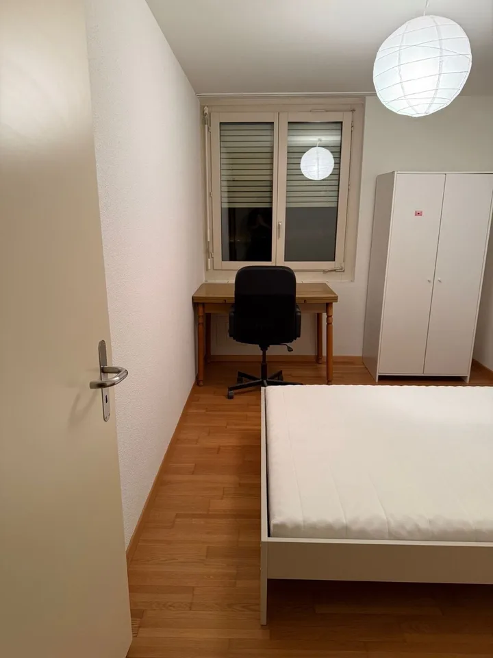 Furnished Room in Zurich