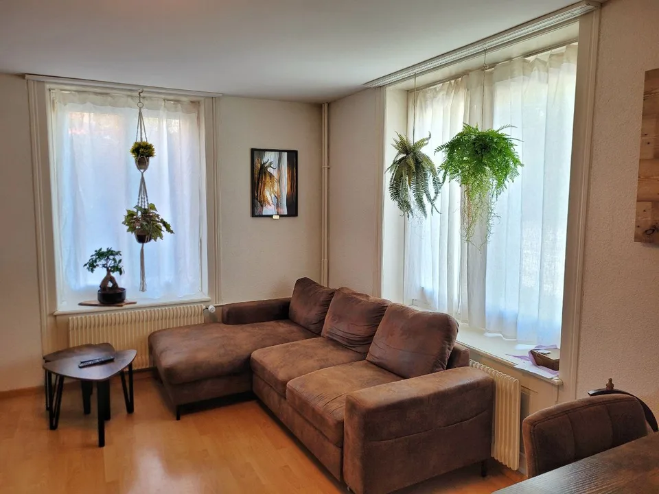 Shared Apartment in Zurich with Balcony and a View