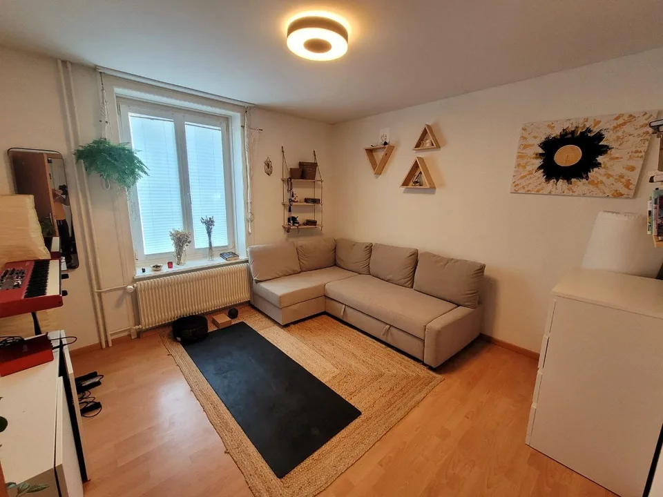 Shared Apartment in Zurich with Balcony and a View
