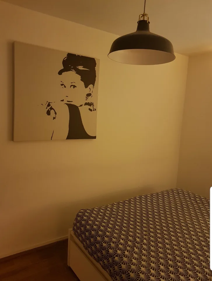 Cosy Room in a shared flat - nightly/Tempory accomodation (not for permanent stay)