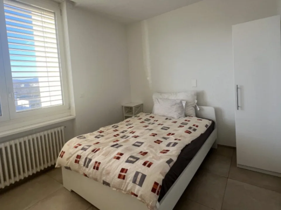 A modern and spacious, bright penthouse. One of Zürich's biggest private balconies. Comfortable, lavishly furnished, clean, bright, sophisticated and hip.