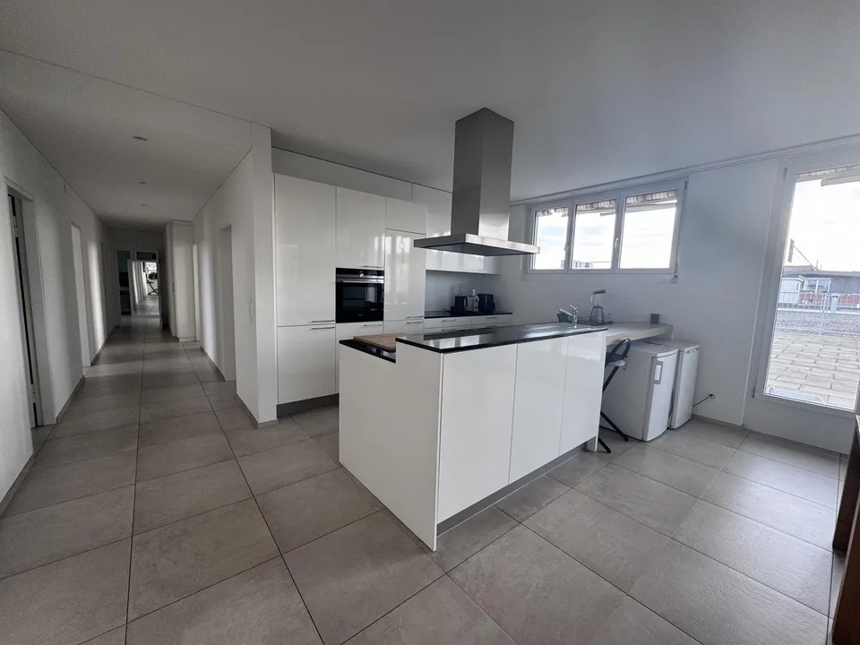A modern and spacious, bright penthouse. One of Zürich's biggest private balconies. Comfortable, lavishly furnished, clean, bright, sophisticated and hip.
