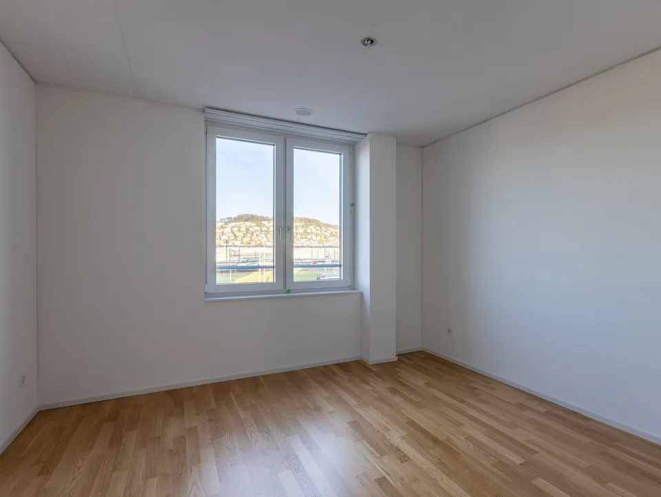 Grosses Zimmer in freundschaftlicher WG (5.5 Zi)