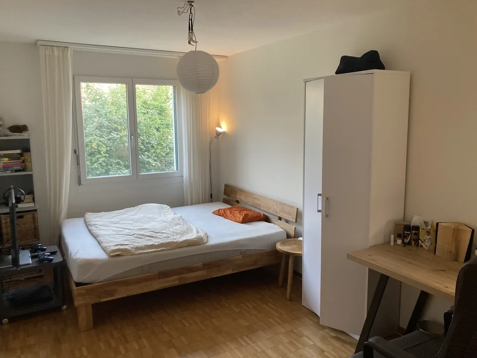 Wieslergasse 14, 8049 Zürich - CHF 2’500 inkl. NK pro Monat