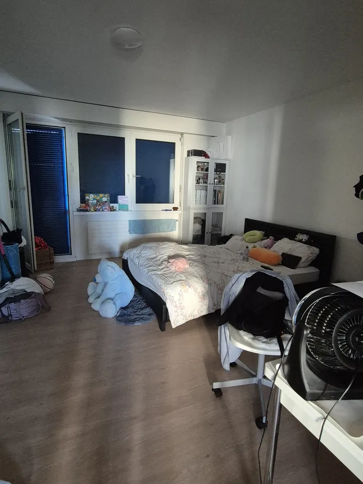 WG Zimmer in a 3.5 Flat in Altstetten