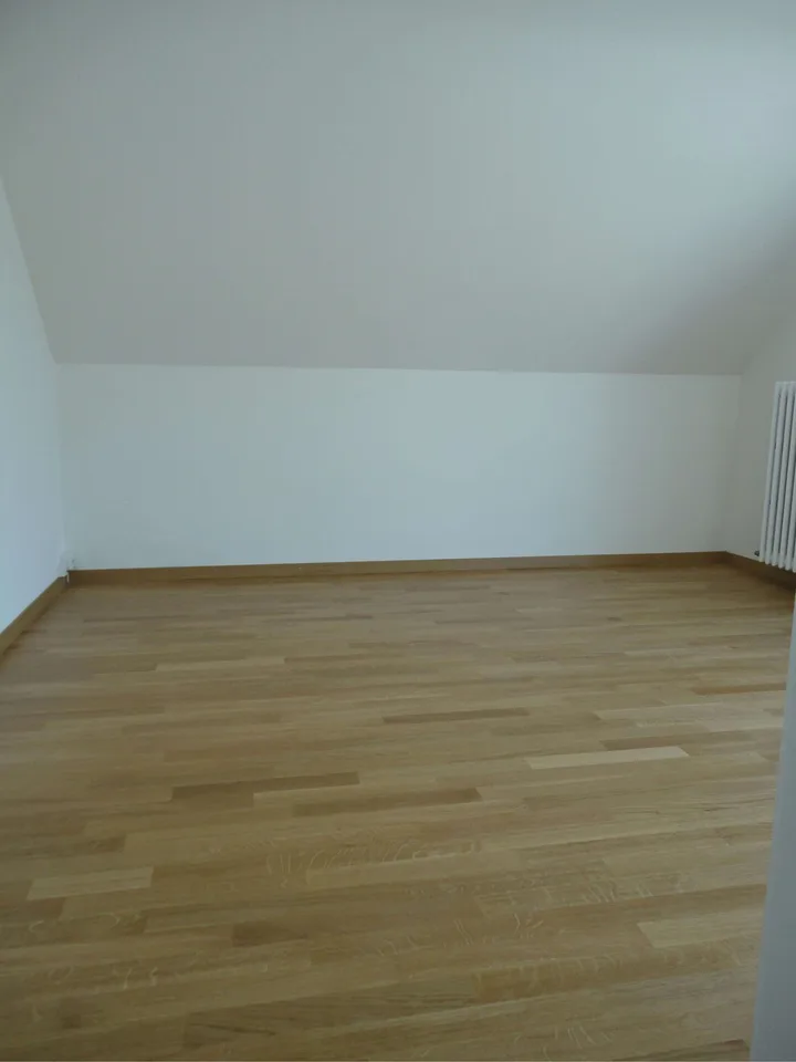 Gemütliches Einzelzimmer in einer Wohngemeinschaft – Zürich