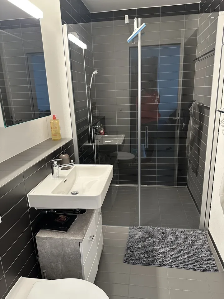 Apartment to let for max 3 months