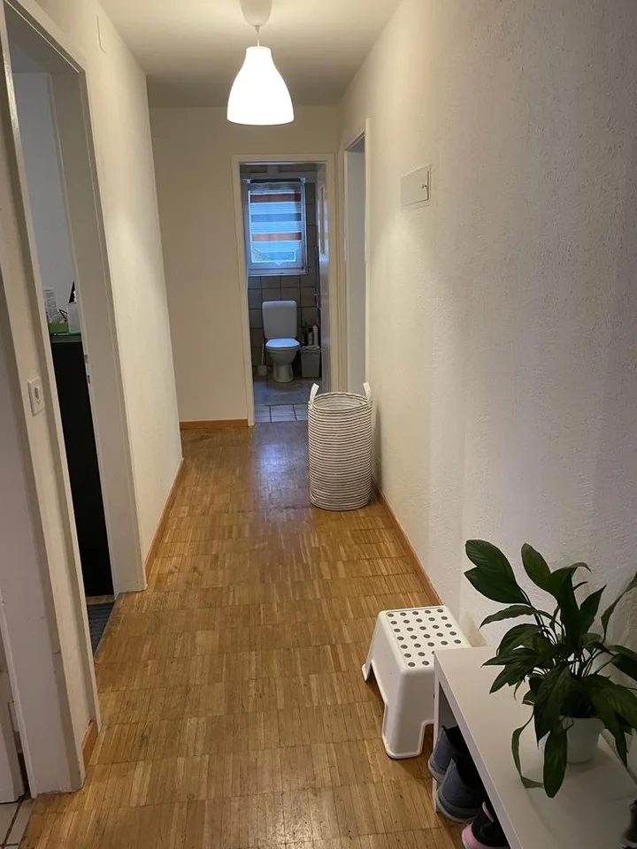 Looking For a Sub Tenant -1 single room available