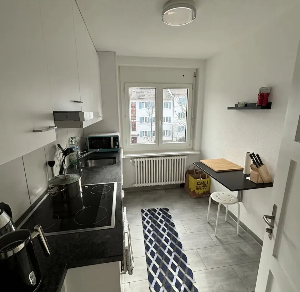 2 rooms Flat Zurich Triemli with Balcony (tempory 16th of July till 6th ofAugust.)