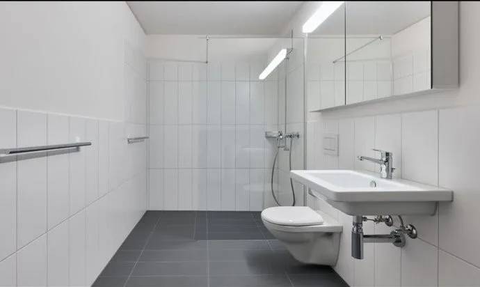 Bachwiesenstrasse 120, 8047 Zürich - CHF 3’030 inkl. NK pro Monat