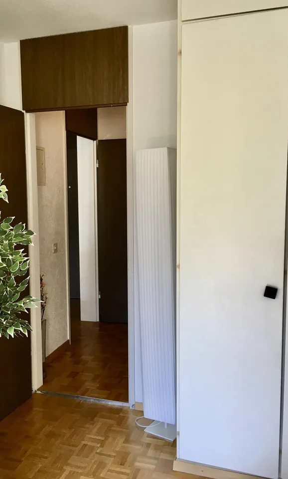 Gemütliche Wohnung in Valens