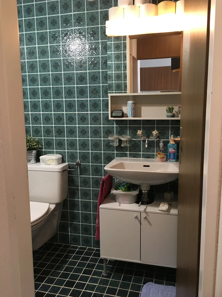 Gemütliche Wohnung in Valens
