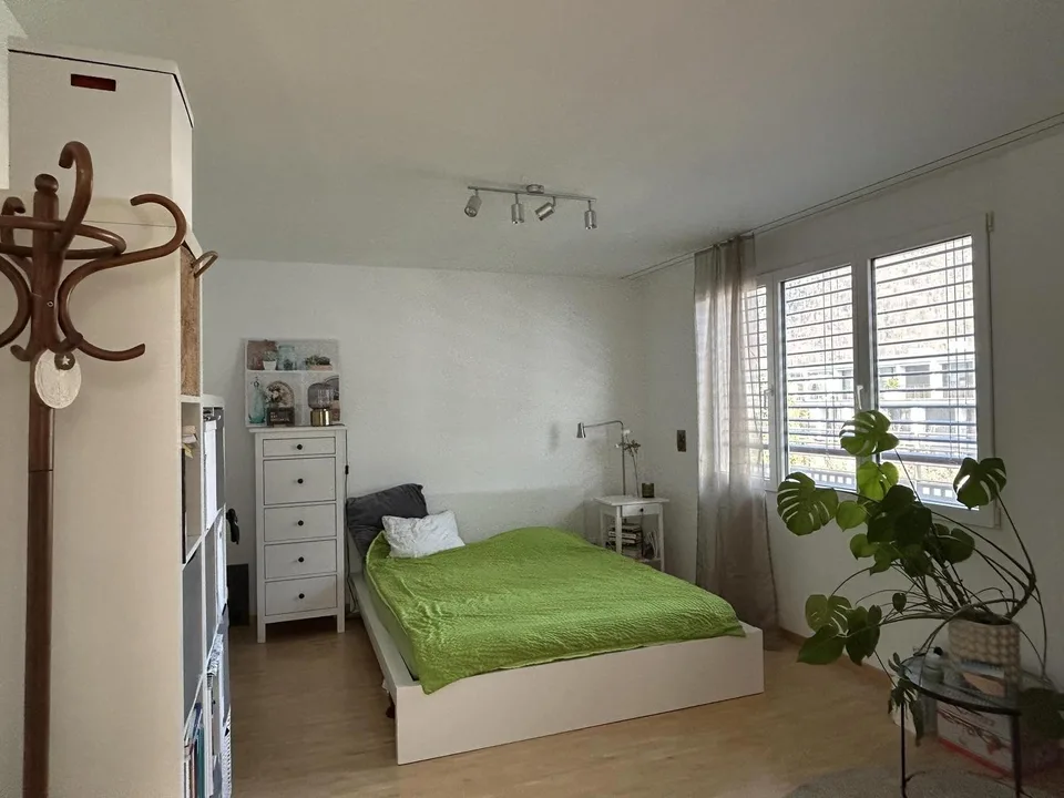 Penthouse-WG sucht Mitbewohner:in ab November 2026