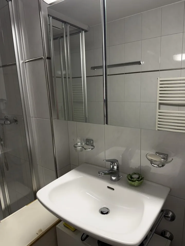 spacious, and comfortable apartment in Meilen, Zurich