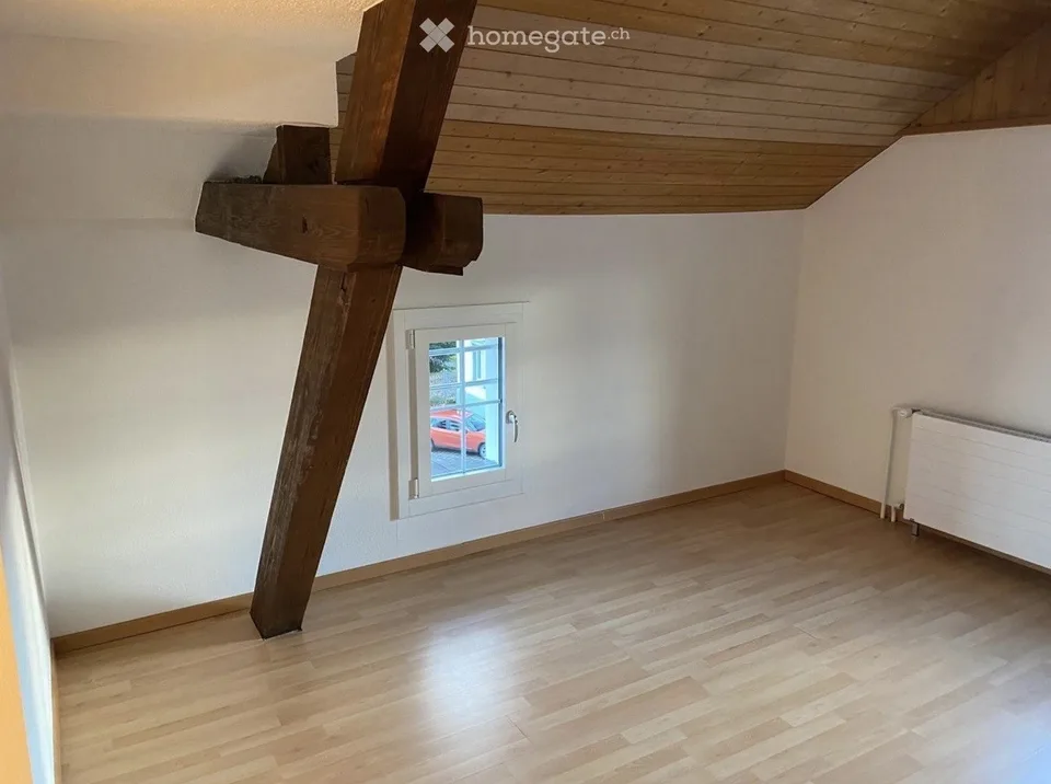 Maisonettewohnung mit Seesicht und Cheminéeofen in Wädenswil