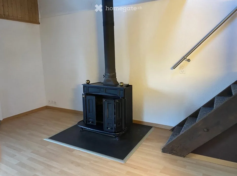 Maisonettewohnung mit Seesicht und Cheminéeofen in Wädenswil