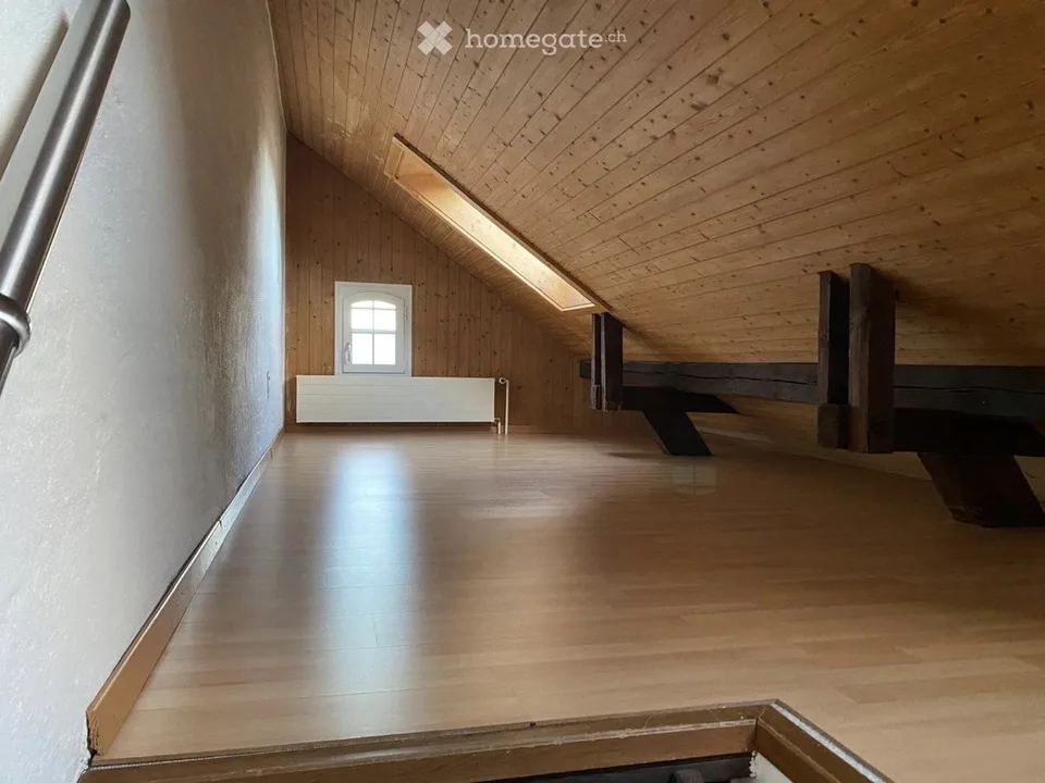 Maisonettewohnung mit Seesicht und Cheminéeofen in Wädenswil