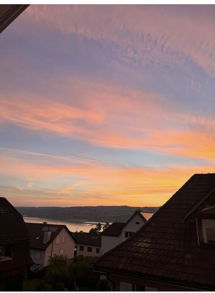 Helles Zimmer im Dachgeschoss in Horgen mit Garten & Sauna – ab 01.10.2026