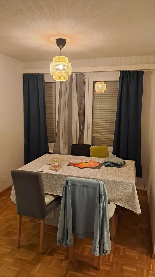 Cozy furnished sublet in Adliswil | 14 Aug – 10 Sep | CHF 1,615