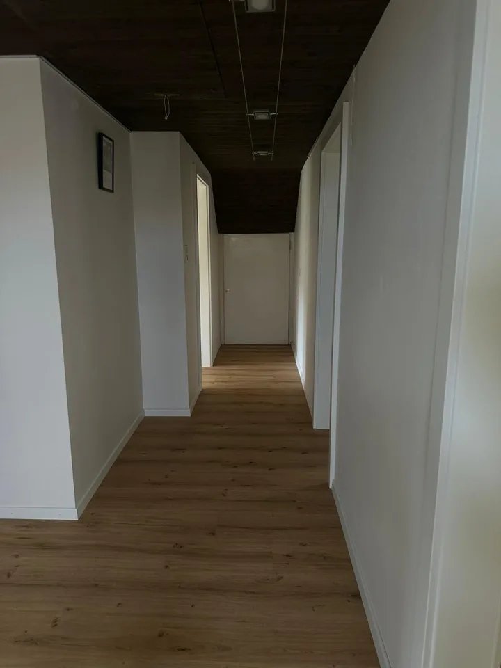 Moderne ruhige sonnige Traumwohnung