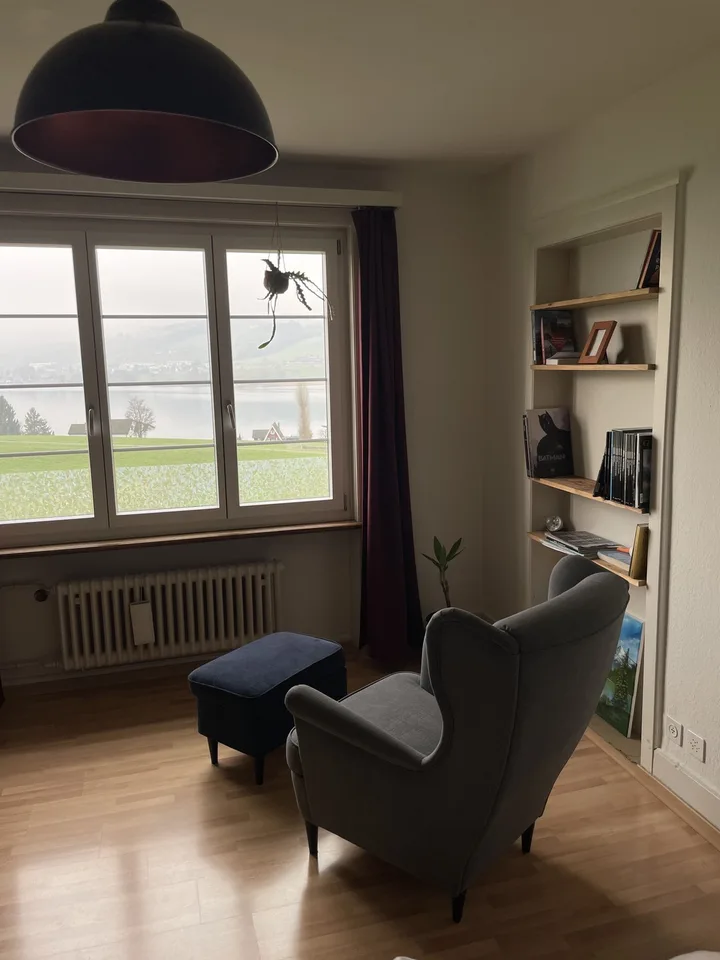 Möblierte 2.5-Zimmerwohnung mit Seesicht & Abendsonne in Küssnacht am Rigi (befristet)
