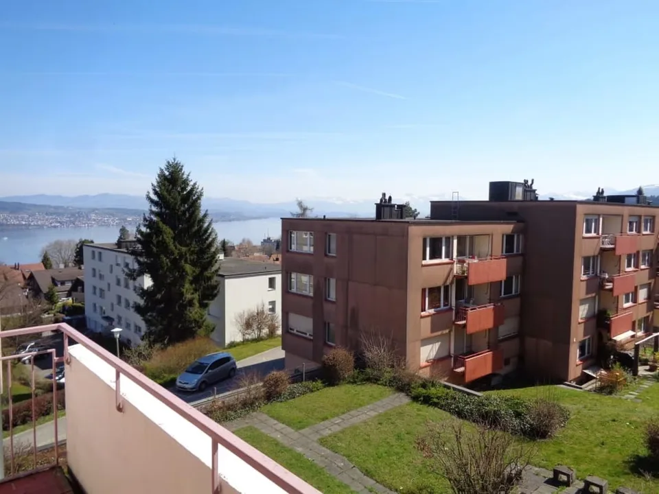 2-Zi Wohnung nahe zu ZHAW Wädenswil