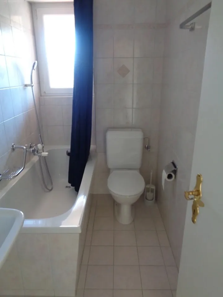 2-Zi Wohnung nahe zu ZHAW Wädenswil