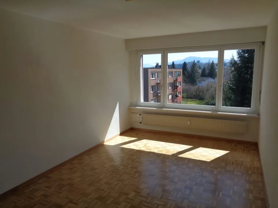 2-Zi Wohnung nahe zu ZHAW Wädenswil