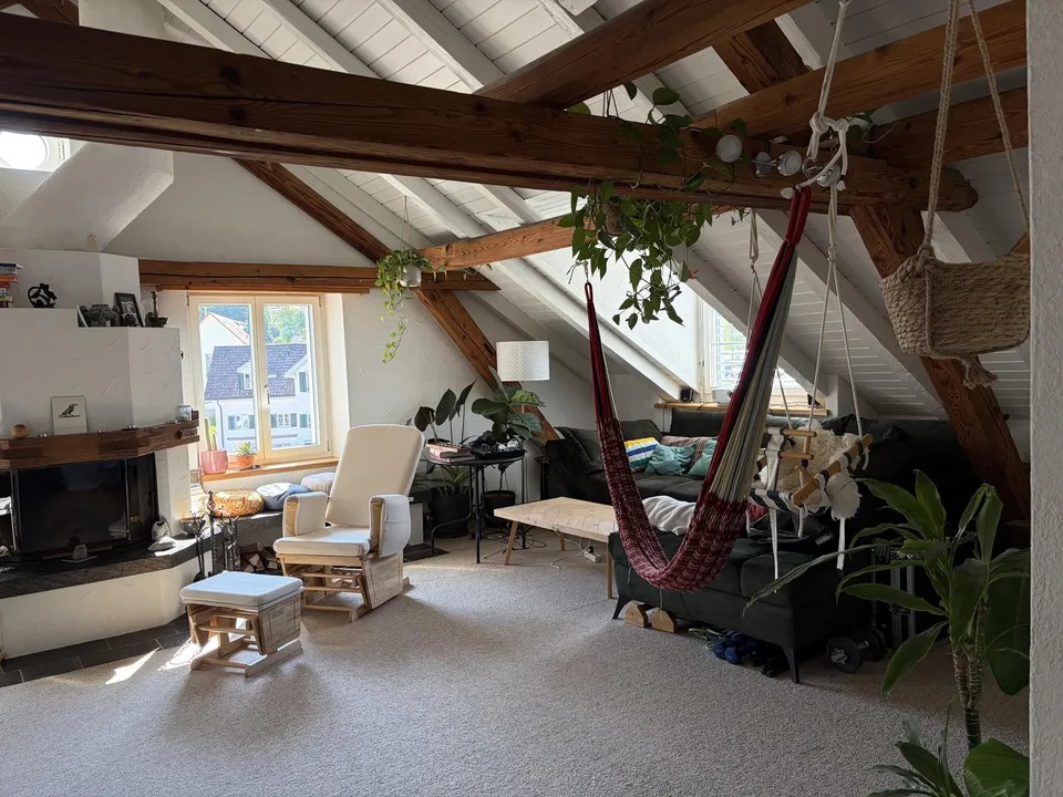 Fully Furnished 5.5-Room Top-Floor Apartment for Sublet in Wald ZH (Flexible Rental Period)