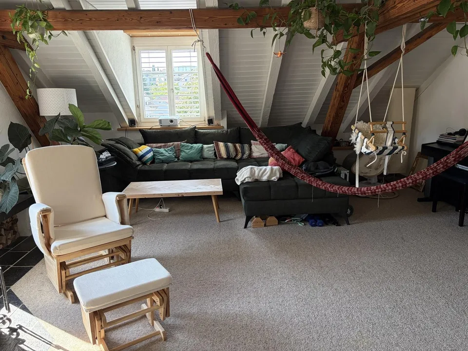 Fully Furnished 5.5-Room Top-Floor Apartment for Sublet in Wald ZH (Flexible Rental Period)