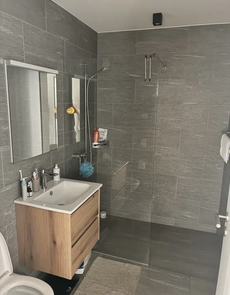 Rapperswill Apartment