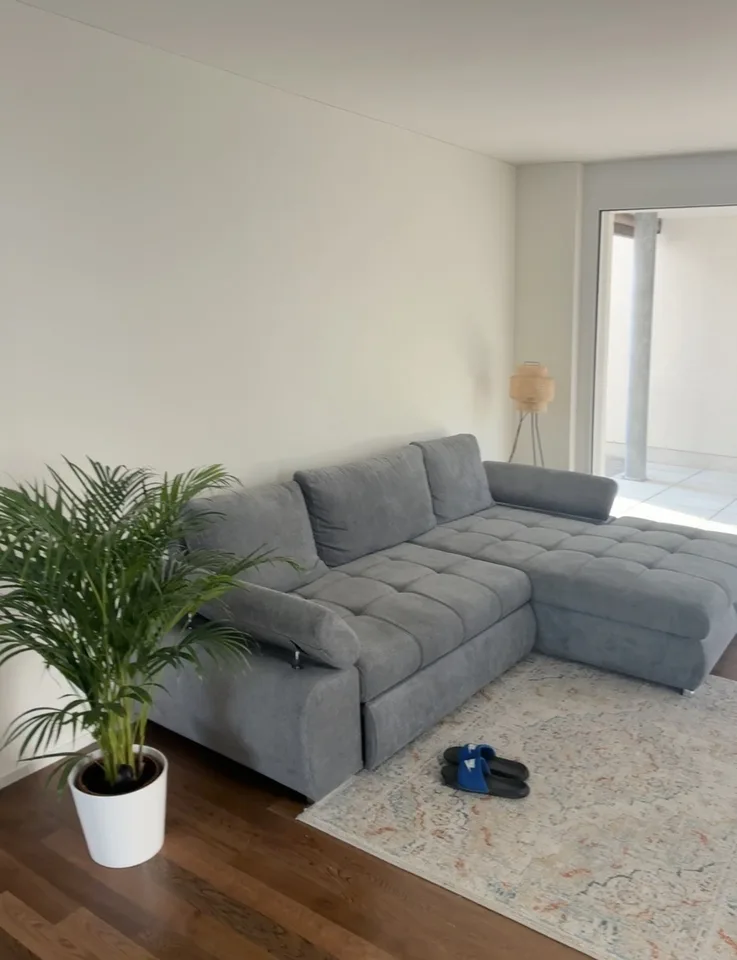 Rapperswill Apartment