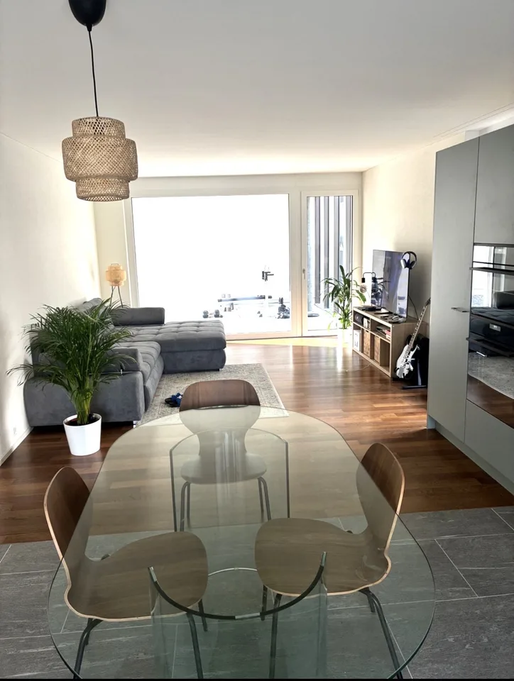 Rapperswill Apartment