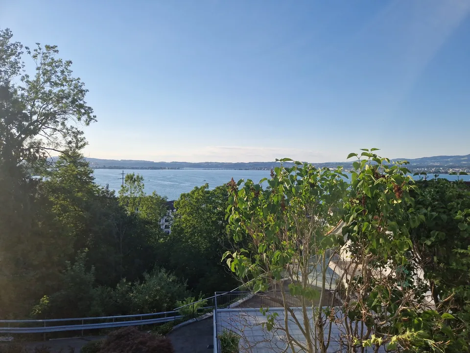 Sunny room with a view on the lake