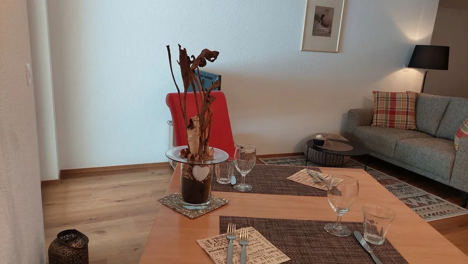 1.5 Zi.-Studio möbliert bis 2 Pers. Grosser Balkon verglast