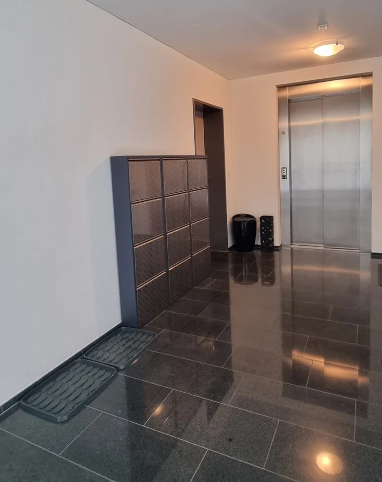 Ultra-modern, completely furnished 4 ½ room apartment  150m² (1’615 sq ft)
